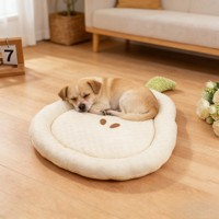 Tapis pour animaux de compagnie en forme de fruits mignons (Pomme, Poire, Pêche) – Lit pour chien doux et rafraîchissant, respirant et lavable pour l'été – Coussin pour animaux de compagnie de petite et grande taille, chiens et chats