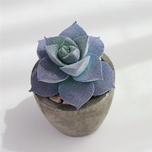 Mini Suculenta Artificial en Maceta de Papel Gris con Componentes de Plástico para Decoración de Interiores/Exteriores, Hogar u Oficina (Color Personalizable) - Product Image 4