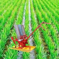 Transplanteur de riz manuel portable, machine à planter le riz manuelle à vendre