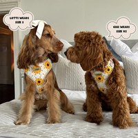 Ensemble de harnais pour chien au crochet, laisse de support pour animaux de compagnie, accessoires personnalisés pour lévrier, marque de luxe, mode, bouledogue français, teckel