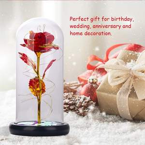 ของขวัญวาเลนไทน์ทรงโดมแก้วดอกกุหลาบประดิษฐ์ขนาดเล็กของขวัญสไตล์ธรรมชาติสัตว์ร้ายตลอดไปดอกกุหลาบที่เก็บรักษาไว้ - Product Image 4