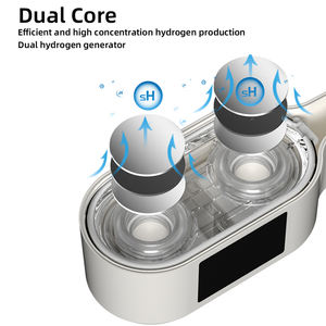 ISO/CE/FDA Certified Hydrogen Fuel Cell SPE PEM Water Electrolysis 2000PPB 2000ml Máquina de água alcalina para uso doméstico - Product Image 4