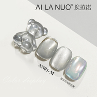 AILANUO – Kit de vernis gel magnétique œil de chat 6 couleurs 15 ml – Gel à ongles œil de chat – Logo personnalisé – Fournisseur professionnel d'articles de nail art