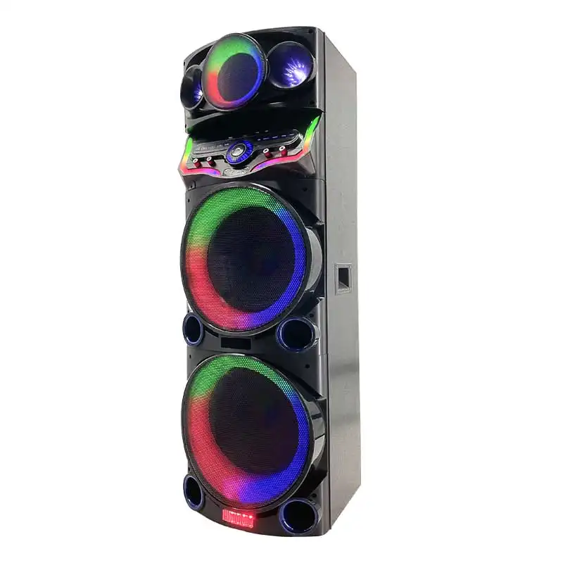 Vendita calda 100W doppio 12 pollici wireless blu dente Karaoke party altoparlante modello privato USB altoparlante