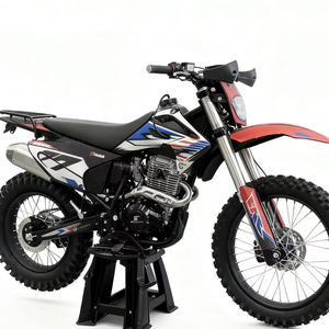 Moto à un cylindre, 300 cm3, quatre temps, refroidissement par air, freins à disque, vitesse de 80 km/h, idéale pour les trajets quotidiens - Product Image 1