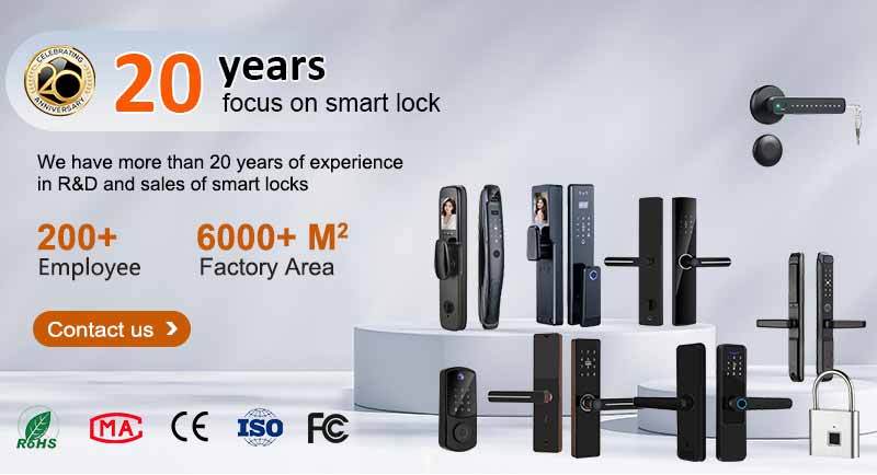Doorlock Waterproof Ttlock TUYA APP Outdoor Gate Rim Lock Wifi Double Fingerprint Digital Keypad Code Electronic Lock · image 2