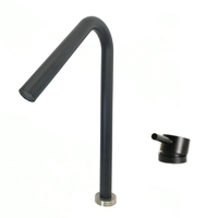 Robinets de lavabo rotatifs à 360 degrés en acier inoxydable italien Style européen brossé ZY-B105G doré noyau de vanne en céramique SS 304 robinet