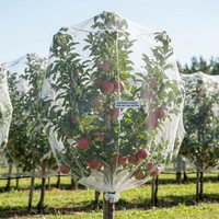 Filet anti-grêle pour serre agricole, résistant aux UV, en HDPE, en rouleau