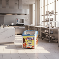 Congélateur commercial pour crème glacée avec porte coulissante en verre certifié ETL et NSF pour les marques de crème glacée
