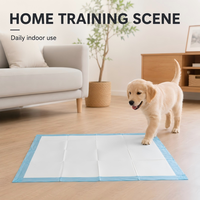 Vente en gros usine de tapis d'entraînement pour chiens et chiots, robustes, écologiques, avec noyau en pâte de cellulose et SAP, absorption rapide, support imperméable IPX7, OEM