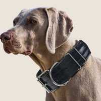 Colliers Pitbull de 2 pouces de large fabriqués en usine pour la formation de chiens sur mesure collier étanche en TPU pour chiens de taille moyenne et grande