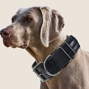 Colliers Pitbull de 2 pouces de large fabriqués en usine pour la formation de chiens sur mesure collier étanche en TPU pour chiens de taille moyenne et grande - Product Image 5