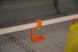 <span class=keywords><strong>Abreuvoir</strong></span> automatique pour tétine de poulet pour fermes avicoles Système d'<span class=keywords><strong>abreuvoir</strong></span> monté facile d'accès Plastique en acier inoxydable utilisé - Product Image 2