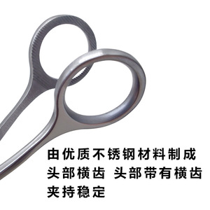 Pinzas Médicas para Lengua Yjianmei de 17.5 cm, Punta Recta, Acero Inoxidable, Instrumentos Quirúrgicos Dentales, Certificación CE - Product Image 5