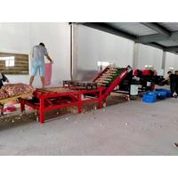 Fabriek Directe Prijs Zware Niveau 6 2000Kg Gewicht Fruit En Groenten Sorteermachine Voor Commerciële Voedselproductie