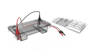 Biyoyıldız AG-S02 yatay elektroforez tankı özelleştirilebilir OEM Lab DNA algılama ve ayırma ekipmanları - Product Image 5