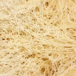 500g 450g 125g 100g 5g 10g 12g 5kg 10kg 20kg bột bánh mì nướng ngay lập tức Men khô nhà máy - Product Image 4