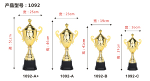 Médaille du trophée du sport en métal doré de grande taille pour la coupe du monde - Product Image 4