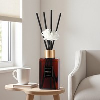 Diffuseur à bâtonnets suspendus Witoyou grand format 100 ml, parfum ambre de luxe, huile parfumée en gros avec bâtonnets floraux pour la décoration intérieure