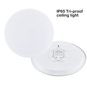 15W 22W <span class=keywords><strong>28W</strong></span> 36W 45W 60W 70W dễ dàng lắp đặt đèn trần cao bằng vàng - Product Image 3