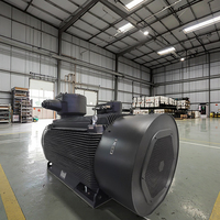 Prix de gros WEBP2 3kW IE3 Moteur asynchrone triphasé à efficacité énergétique Protection IP55 Contrôle de vitesse à fréquence variable