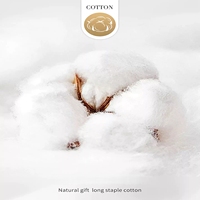 Factory Wholesale Towels Luxury Cotton Bath 16S /21S/32S White Hotel Towels Set Luxury for Hotel Use