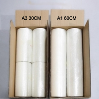 KECAI DTF PET Film Impression Conception Cold Peel Simple Face A3 30cm Largeur 100m Rouleau de Papier DTF Personnalisé Transfert de Chaleur