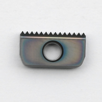 Inserti Filettati 14I1.0ISO BL1420P in Carburo di Tungsteno Indicizzabili per Portautensili da Tornio Filettato OEM