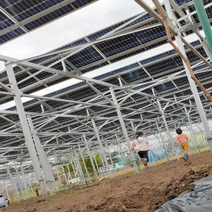 Высокая эффективность 1 МВт 30 кВт сельскохозяйственная фотоэлектрическая солнечная система Монтажная солнечная панель для солнечной системы фермы