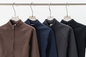 2025 col montant rétro européen et américain, <span class=keywords><strong>cardigan</strong></span> à manches longues amincissant de style <span class=keywords><strong>lulu</strong></span> à fermeture éclair pour femmes - Product Image 2