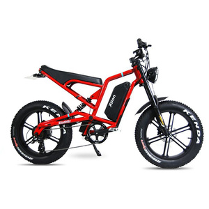 Vélo Électrique Tout-Terrain UE216 à Pneus Larges, 20 Pouces, 7 Vitesses, 750W, avec Batterie au Lithium Amovible 48V – Vélo à Assistance Électrique 500W – Offre Spéciale - Product Image 1