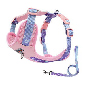 Personalized Polyester Mesh Pet Leashes <b>Harnesses</b> With Custom Print Adjustable For <b>Dog</b> Walking Outdoor - Product Image 4