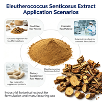 Extrait de racine d'Acanthopanax Senticosus de qualité alimentaire et cosmétique, 0,8%-2% d'éléuthéroside B+E, matière première de ginseng sibérien, fourni directement par l'usine