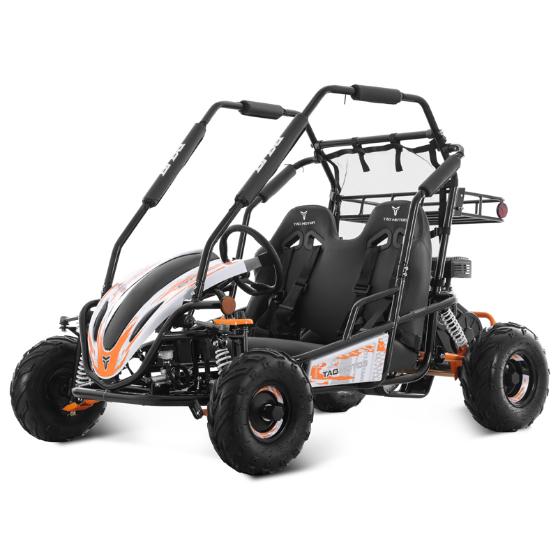Tao Motor 2025 New Adult Steel