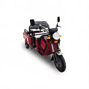 Hot Sell 650W 3 Wheel 14 Inch Folding Electric Bike With Seat For Passenger