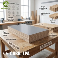 Contreplaqué stratifié de première qualité, marque Qiangyi, grade ENF, eucalyptus, écologique, pour panneaux muraux