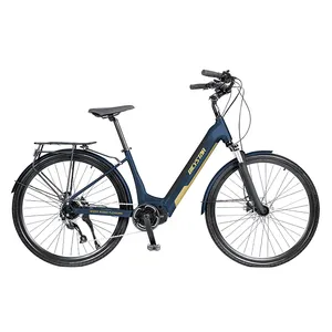 알루미늄 전기 자전거 레이디 ebike 24 인치 전기 자전거 26 인치 36v 250w 350w 48v 500w 전자 자전거