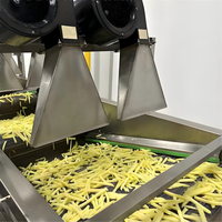 Friteuse industrielle entièrement automatique de haute qualité pour légumes, pommes de terre, fruits, chips, machine alimentaire en acier inoxydable 304 de qualité alimentaire 500-1000