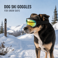 Lunettes de soleil de sport pour chiens, lunettes de ski de neige pour chiens de grande et moyenne taille, avec protection UV réglable, lentille cylindrique
