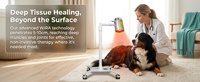 Lampe de thérapie à spectre profond FAUN sur pied pour soins aux animaux âgés OEM