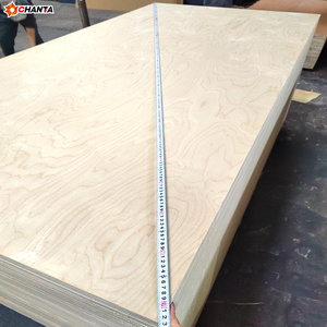 Diseño moderno <span class=keywords><strong>de</strong></span> <span class=keywords><strong>segunda</strong></span> <span class=keywords><strong>mano</strong></span> Okoume/Álamo/abedul/Pino 3/4 CDX madera contrachapada 4x8 E0 emisión <span class=keywords><strong>de</strong></span> formaldehído 1 año para encofrado <span class=keywords><strong>de</strong></span> hormigón - Product Image 5