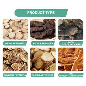 Parche Herbal Hipoalergénico para el Estreñimiento, Apoyo Digestivo, Fácil Aplicación, Acción Rápida - Product Image 2
