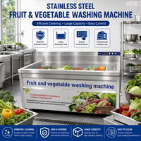 304 roestvrijstalen fruit- en groentereinigingsmachine met grote wastank voor gebruik in hotelkantines en voedselverwerkingskeukens