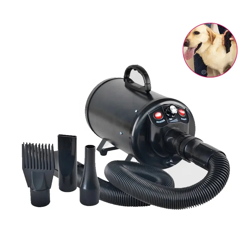 Hot Sale High Power Brushless Motor Low Noise Adjustable Speed Nozzles Dog Cat Pet Hair Dryer Blower