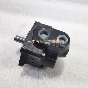 Pompe à aubes Funan DS-13-FR, 1 étage, en fonte, hydraulique, à cylindrée fixe - Product Image 2