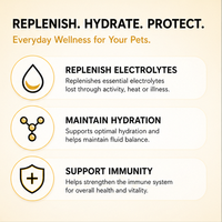 Poudres d'électrolytes pour chiens - Soutien immunitaire et santé de la peau et du pelage - Poudre d'électrolytes pour chiens et chats