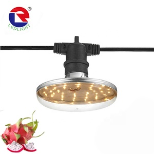Luz LED de Cultivo E27 15W IP54 para el Cultivo de Flores <span class=keywords><strong>Eustoma</strong></span> <span class=keywords><strong>Grandiflorum</strong></span> - Product Image 2
