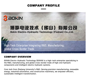 रेक्सरोथ प्रत्यक्ष अभिनय राहत वाल्व dbds30 दबाव नियंत्रण वाल्व 630 बार 120 एल/मिनट औद्योगिक हाइड्रोलिक सिस्टम इंजेक्शन - Product Image 6