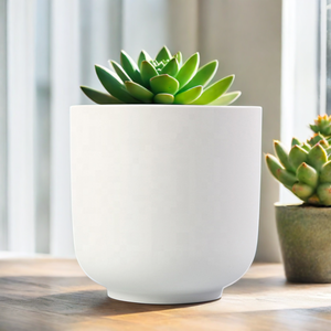 Vaso in Ceramica Bianca Opaca Moderno per Decorazione Giardino, Mini Vasi per <span class=keywords><strong>Piante</strong></span> Succulente e <span class=keywords><strong>Cactus</strong></span>, Decorazione Casa, Vaso per Fiori - Product Image 1
