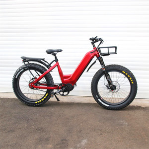 Vélo électrique <span class=keywords><strong>ROHLOFF</strong></span> à 14 vitesses, <span class=keywords><strong>moyeu</strong></span> IGH, 1000W, cadre bas, batterie 48V 30Ah, moteur central, vélo électrique à 11 vitesses, transmission par courroie - Product Image 3